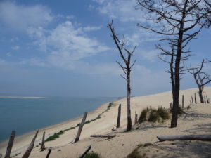Dune du Pyla