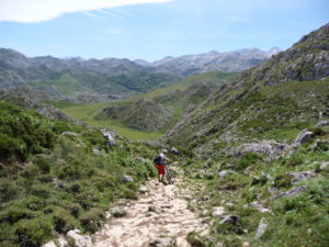 Picos de Europa