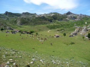 Picos de Europa