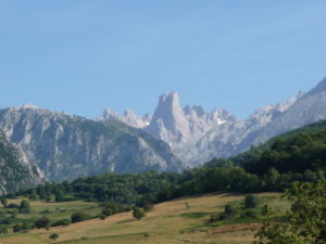 Picos de Europa