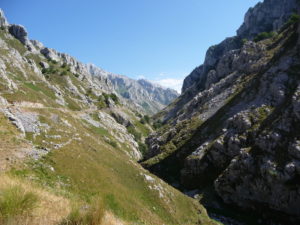 Picos de Europa